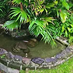 Casa Ampla com Piscina e Piscina Natural.