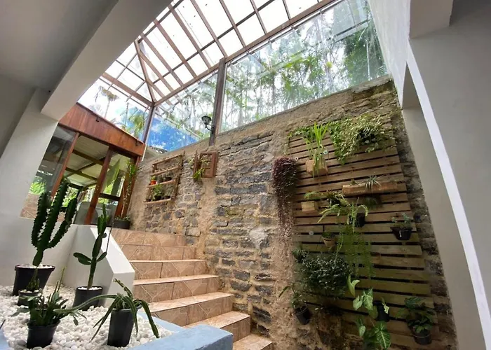 Casa Ampla com Piscina e Piscina Natural.