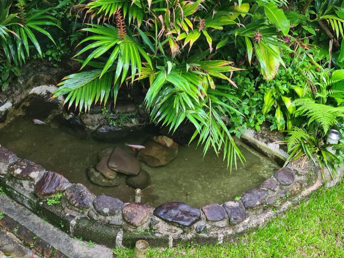 Casa Ampla Com Piscina Casa de férias *